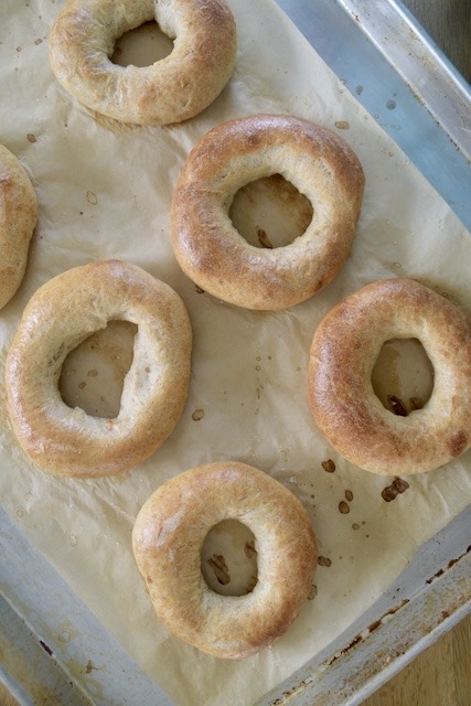 bagels on a tray with parchment paper.