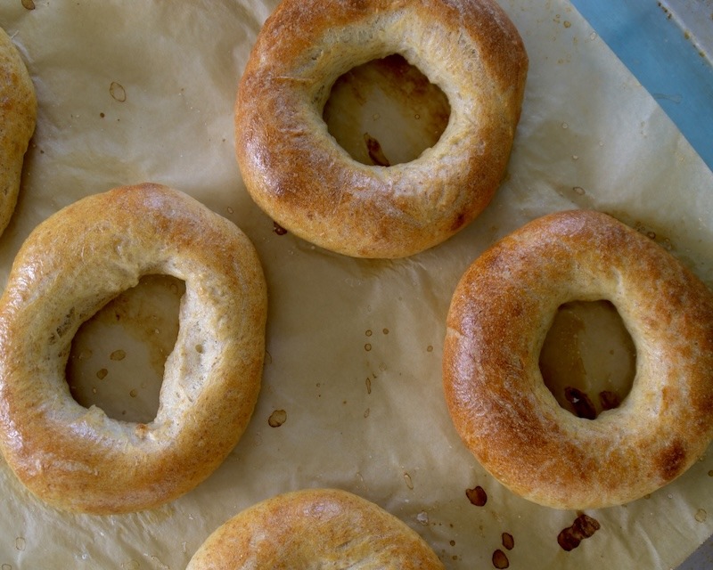 a tray with several sourdough bagels.