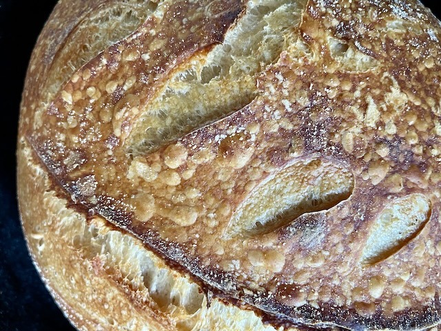 a close up shot of the crust of a sourdough, which has blisters