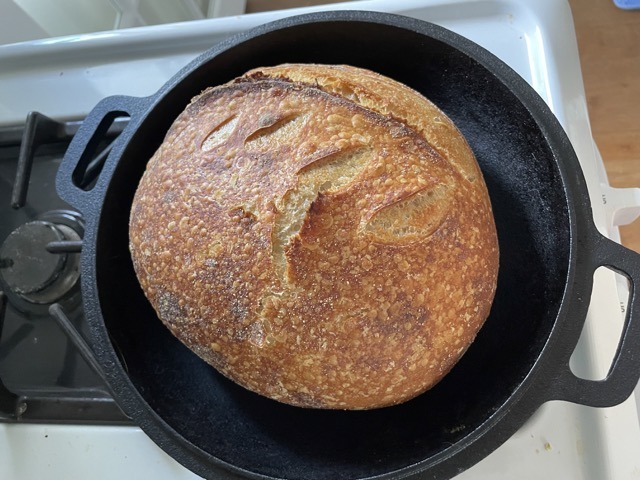 a loaf of sourdough on a cast iron pan