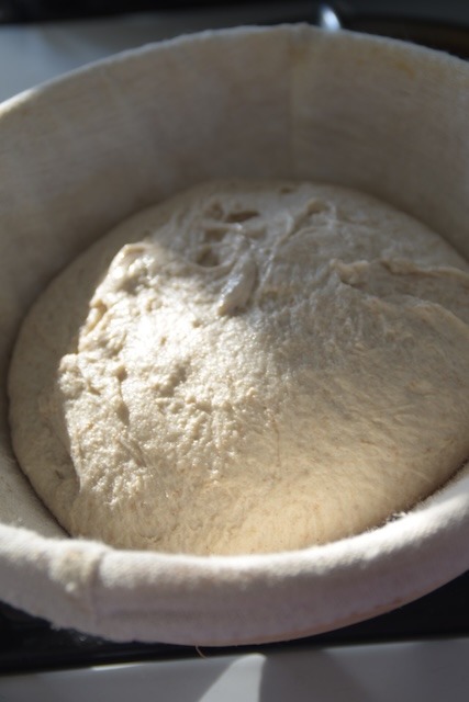 raw sourdough in a banneton