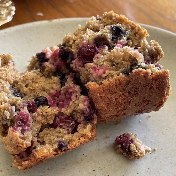 A cranberry oatmeal muffin tore open to reveal the crumb texture.