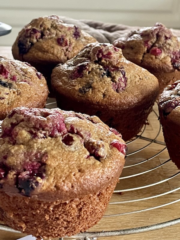 A batch of cranberry oatmeal muffins cooling on a rack.